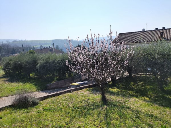 terreno edificabile in vendita a Perugia in zona Farneto