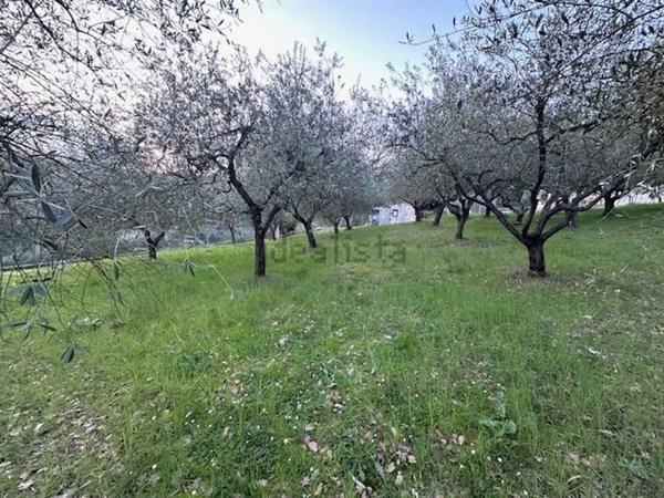 casa indipendente in vendita a Perugia in zona L'Olmo
