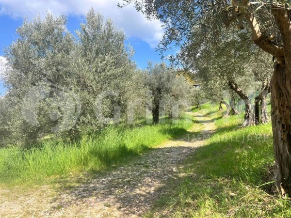 negozio in vendita a Perugia in zona Lacugnano