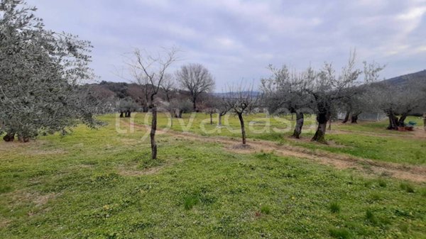 casa indipendente in vendita a Perugia in zona Città della Domenica