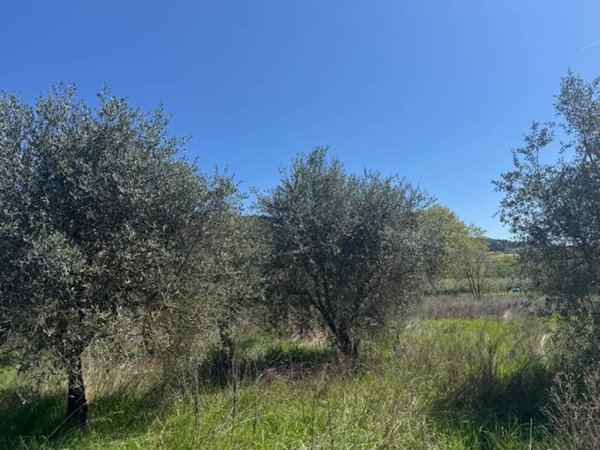 casa indipendente in vendita a Perugia in zona San Sisto