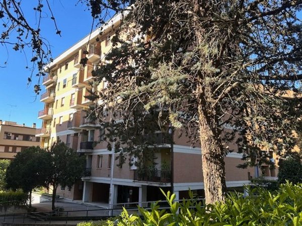 appartamento in vendita a Perugia in zona Ferro di Cavallo