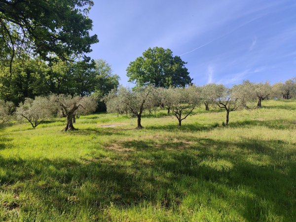 terreno agricolo in vendita a Perugia in zona Montelaguardia