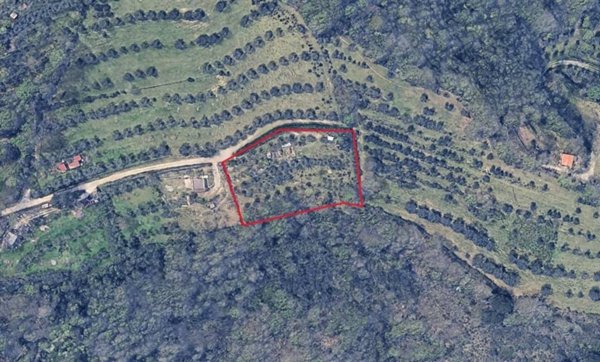 terreno agricolo in vendita a Perugia in zona Cordigliano