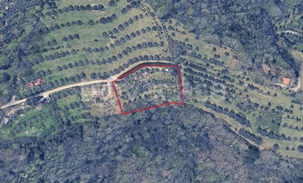 terreno agricolo in vendita a Perugia in zona Cordigliano