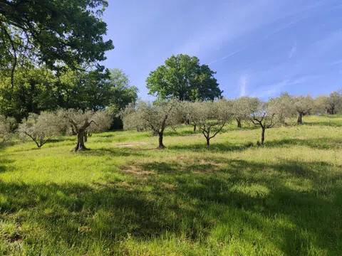 terreno agricolo in vendita a Perugia in zona Montelaguardia