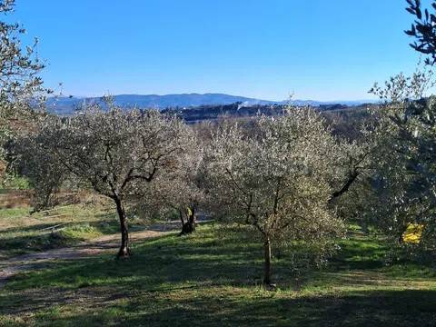 terreno agricolo in vendita a Perugia