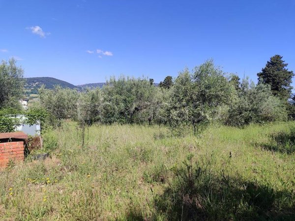 terreno agricolo in vendita a Perugia in zona Prepo