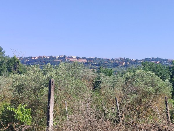 terreno agricolo in vendita a Perugia