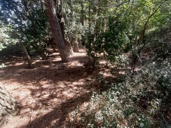 terreno agricolo in vendita a Perugia in zona Ponte San Giovanni