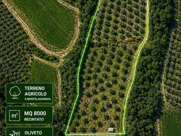 terreno agricolo in vendita a Perugia in zona Cordigliano