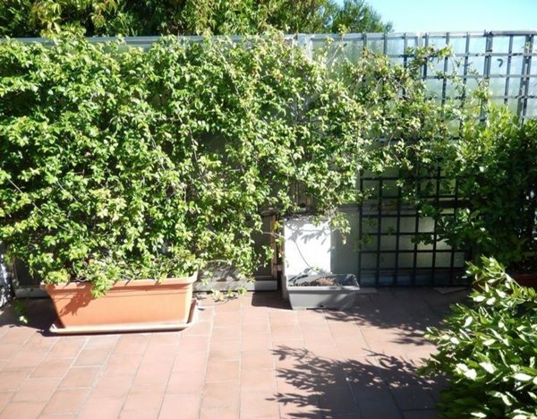 appartamento in vendita a Perugia in zona Elce