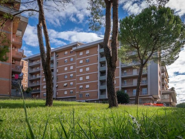 appartamento in vendita a Perugia in zona Ferro di Cavallo
