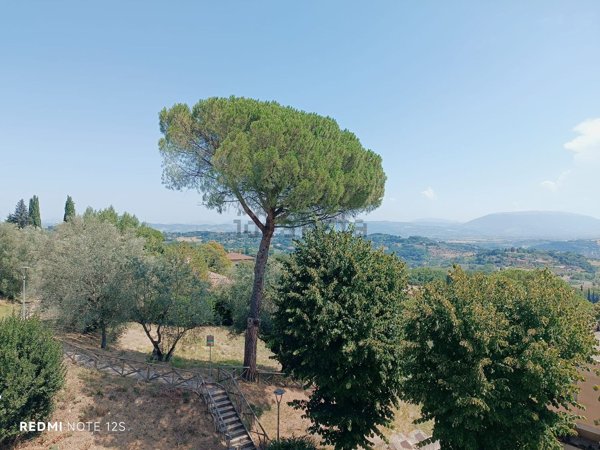 appartamento in vendita a Perugia in zona Filosofi