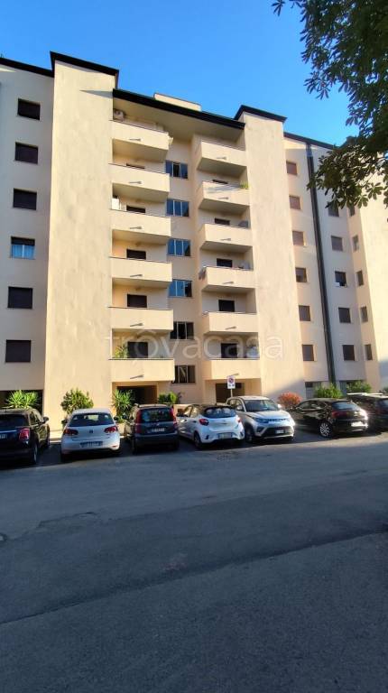 appartamento in vendita a Perugia in zona Ponte San Giovanni