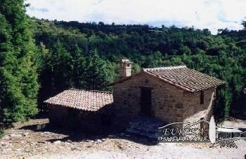 negozio in vendita a Piegaro
