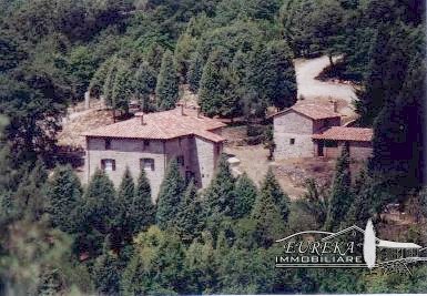 attivita commerciale in vendita a Piegaro in zona Ierna Vignaie