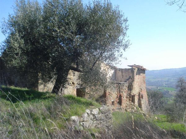 casa indipendente in vendita a Piegaro in zona Castiglion Fosco