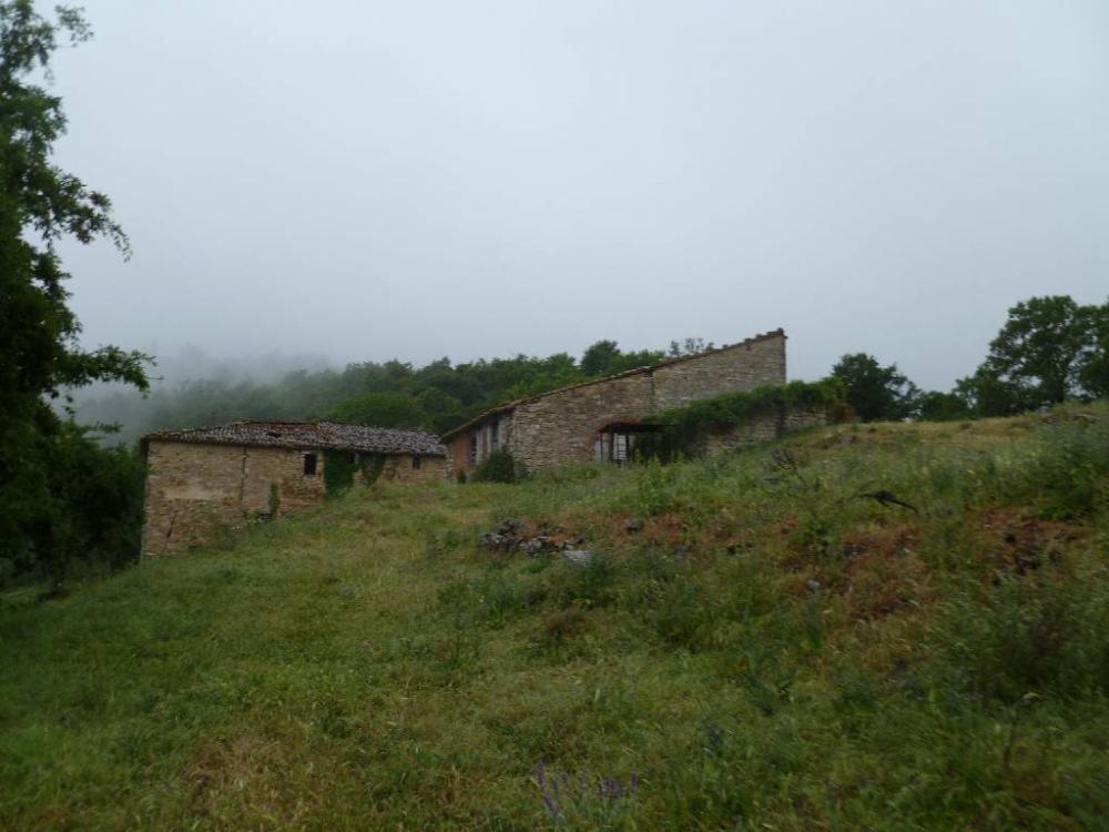 immagine annuncio 0 di 4