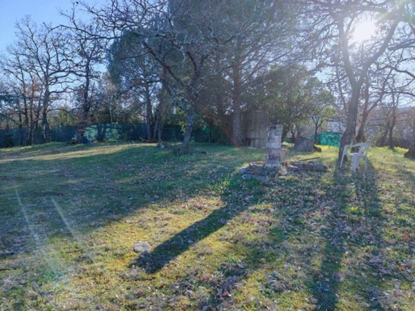 terreno agricolo in vendita a Piegaro in zona Cibottola