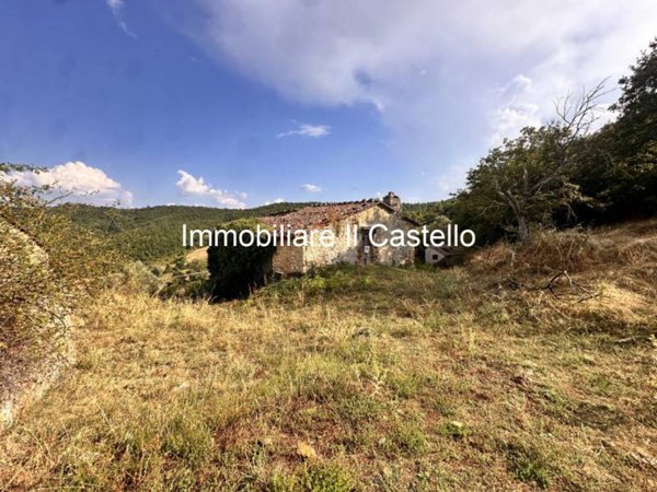 terreno agricolo in vendita a Piegaro