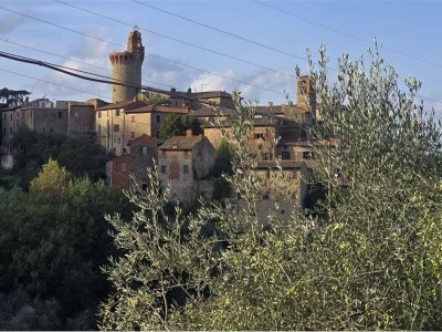 terreno agricolo in vendita a Piegaro in zona Castiglion Fosco