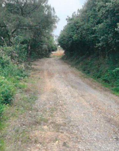 terreno agricolo in vendita a Piegaro in zona Cibottola
