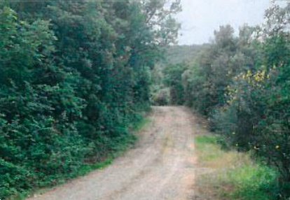 terreno agricolo in vendita a Piegaro in zona Cibottola