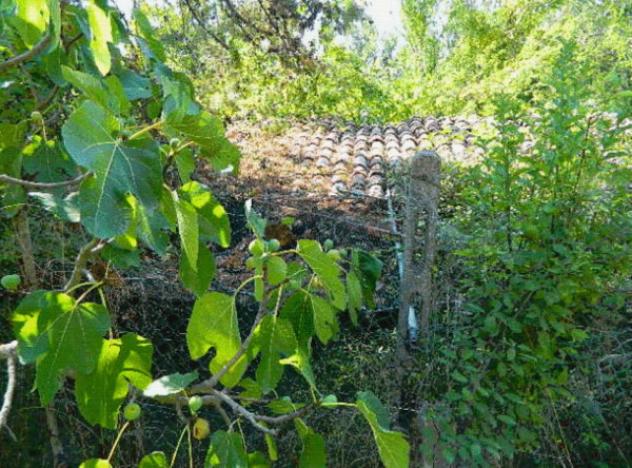 terreno agricolo in vendita a Piegaro