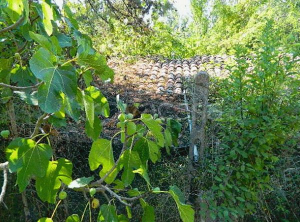 terreno agricolo in vendita a Piegaro
