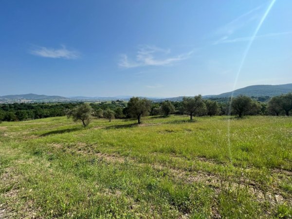casa indipendente in vendita a Piegaro in zona Gaiche