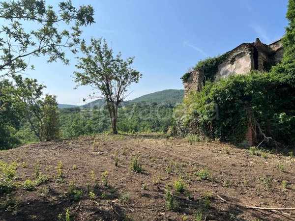 immagine annuncio 0 di 13