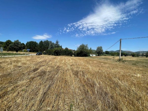 terreno agricolo in vendita a Piegaro in zona Oro