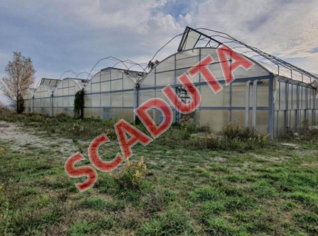 pentavano in vendita a Piegaro in zona Pietrafitta