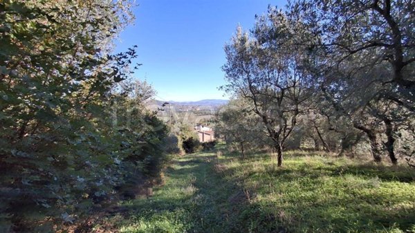 terreno edificabile in vendita a Piegaro in zona Castiglion Fosco