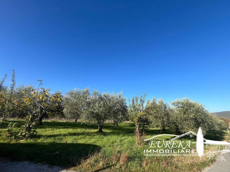 casa indipendente in vendita a Piegaro in zona Pratalenza