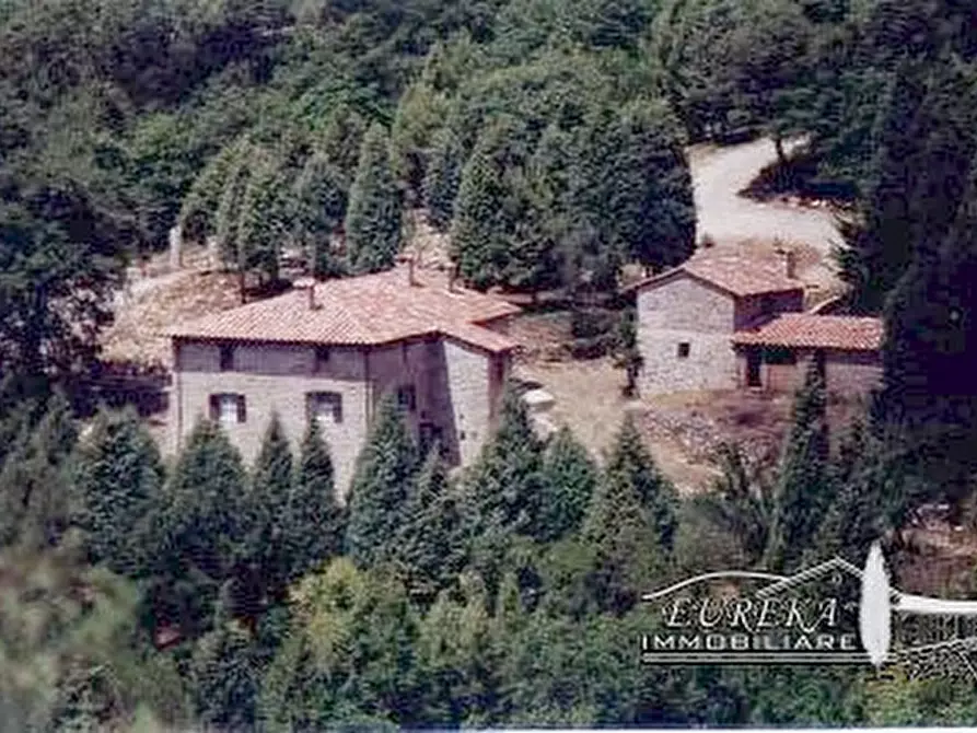 negozio in vendita a Piegaro