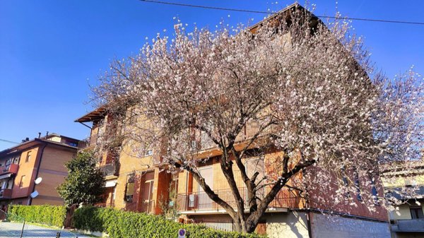 appartamento in vendita a Piegaro