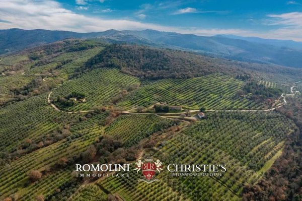terreno agricolo in vendita a Piegaro