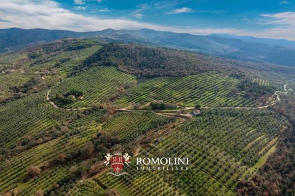 terreno agricolo in vendita a Piegaro