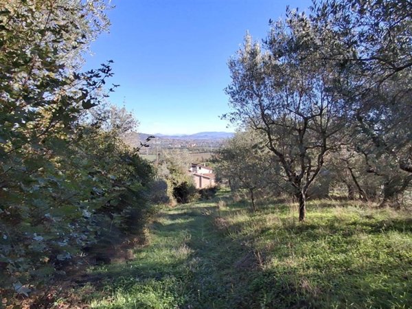 terreno edificabile in vendita a Piegaro