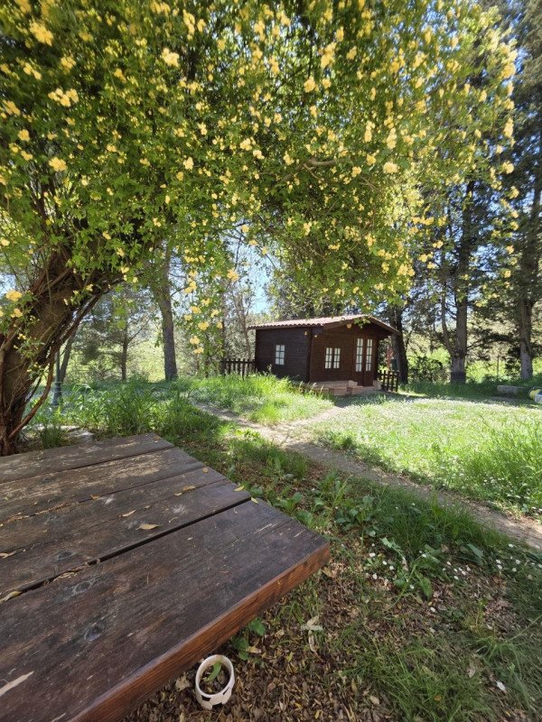 casa indipendente in vendita a Piegaro in zona Cibottola