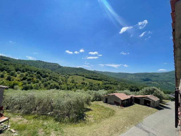 terreno agricolo in vendita a Piegaro