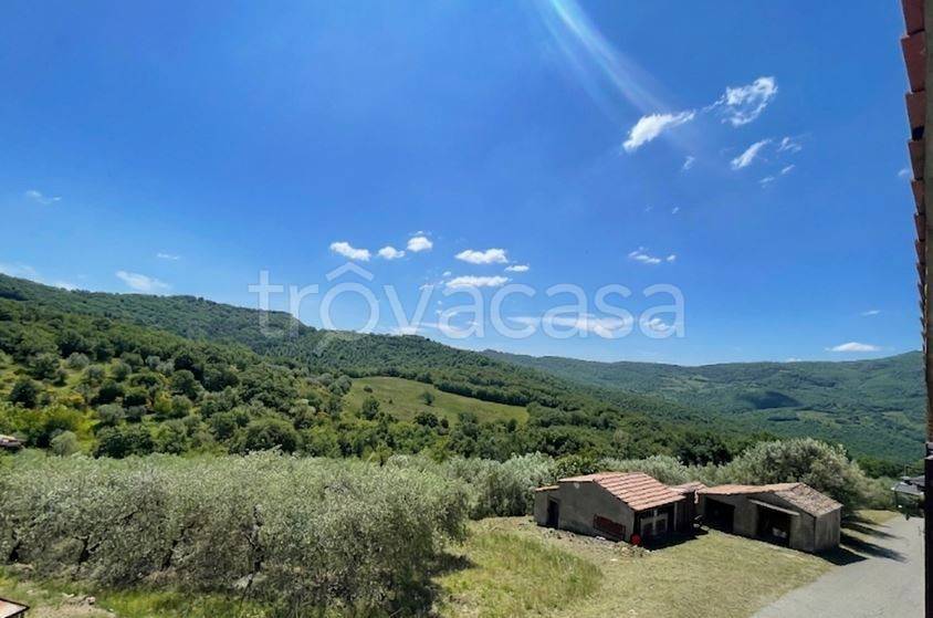 terreno agricolo in vendita a Piegaro