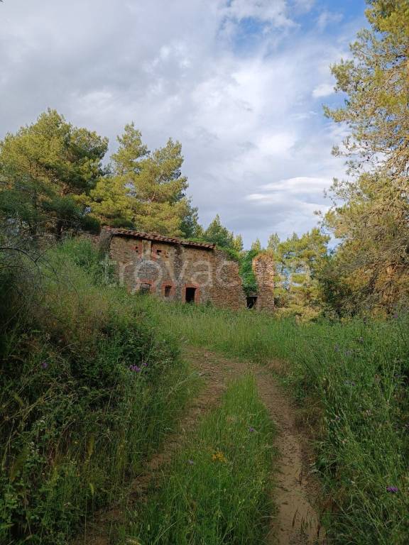 casa indipendente in vendita a Piegaro in zona Gaiche