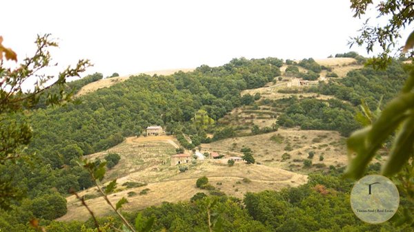 appartamento in vendita a Piegaro