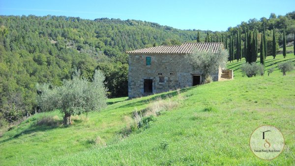 appartamento in vendita a Piegaro
