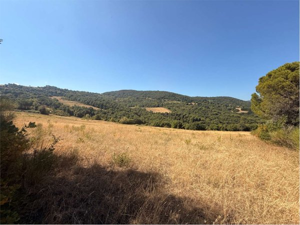 terreno in vendita a Piegaro in zona Pietrafitta