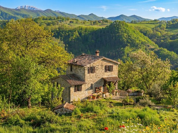 esavano in vendita a Pietralunga