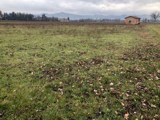 terreno agricolo in vendita a San Giustino